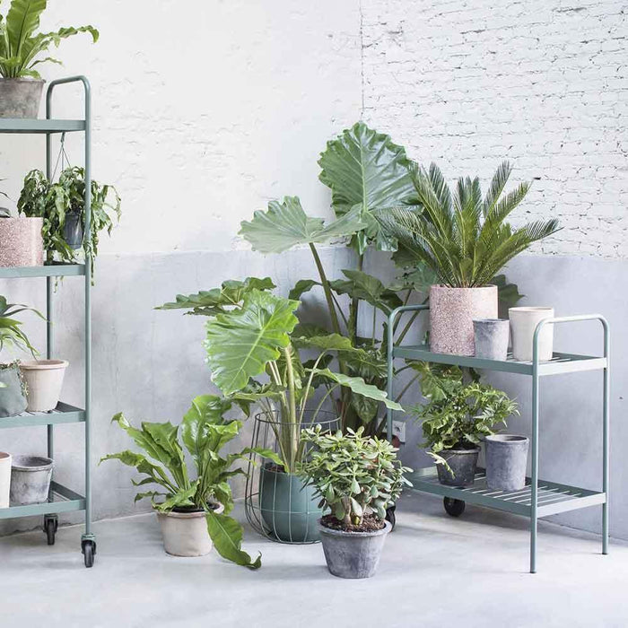 24 Planters to Kick off a Summer Surrounded by Nature - The Design Part